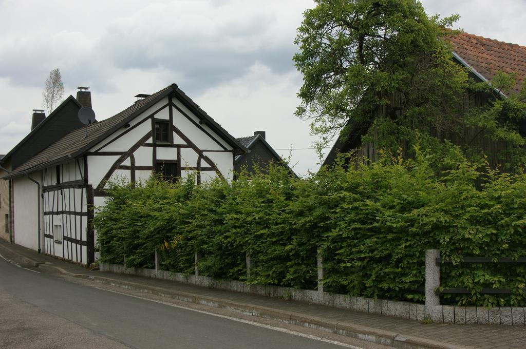Authentiek Eifelhuis Hecken Ruang foto